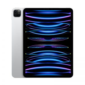 iPad Pro 11" Wi-Fi + Cellular M2 (4th Gen) 256GB